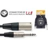 Audio kabelis Stagg REAN 6.35mm Jack TRS - XLR /m 6m
