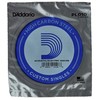 D'Addario Styga akustinei / elektrinei gitarai D'Adario PL010 .010