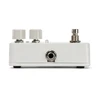 El. gitaros efektas Electro-Harmonix Canyon Delay and Looper