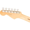 Elektrinė gitara Fender Player II Stratocaster HSS Cactus Gray