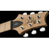 Elektrinė gitara PRS SE Swamp Ash vaivorykštinė mėlyna
