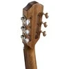 Elektroakustinė gitara Baton Rouge X54S/PE-BT