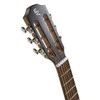 Elektroakustinė gitara Baton Rouge X54S/PE-BT