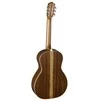 Elektroakustinė gitara Baton Rouge X54S/PE-BT