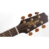 Elektroakustinė gitara Takamine P3DC natūrali