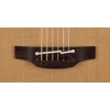 Elektroakustinė gitara Takamine P3DC natūrali