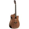 Jn Guitars Elektro-akustinė gitara James Neligan DOV-DCFI