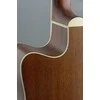 Jn Guitars Elektro-akustinė gitara James Neligan ASY-DCE