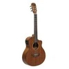 Jn Guitars Elektro-klasikinė gitara James Nelighan OLO-CE N