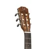 Jn Guitars Elektro-klasikinė gitara James Nelighan OLO-CE N