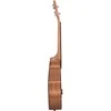 Koncertinė ukulelė Cascha Mahogany HH 2035