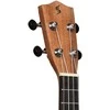 Koncertinė ukulelė Stagg UC-30 Spruce
