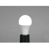 LED lempa Omnilux E27 RGB/WW/CW WiFi