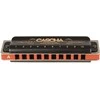 Lūpinė armonikėlė A Cascha Professional Blues Diatonic HH 2161