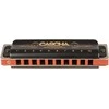Lūpinė armonikėlė C Cascha Professional Blues Diatonic HH 2025