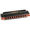 Lūpinė armonikėlė D Cascha Professional Blues Diatonic HH 2159