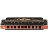 Lūpinė armonikėlė D Cascha Professional Blues Diatonic HH 2159