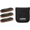 Lūpinių armonikėlių komplektas C-G-A Cascha Professional HH 2343