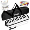Melodika 32 klavišų Cascha juoda HH 2061