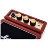 Mini stiprintuvas elektrinei gitarai Marshall MS-2R