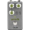 Pedalas Fender Hammertone Reverb
