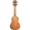Soprano ukulelė Cascha Art Urban HH 2600