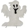 Steinigke Dekoracija VAIDUOKLIS Europalms Silhouette Ghost, 60cm