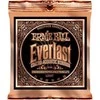 Stygos ak. gitarai Ernie Ball P02546