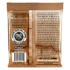 Stygos akustinei gitarai Ernie Ball Earthwood Rock and Blues Phosphor Bronze 0,010 - 0,052
