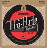 Stygos klasikinei gitarai D'Addario Pro Arte EJ49 Normal Tension
