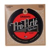 Stygos klasikinei gitarai D'Addario Pro-Arté EJ47 .028