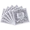 Stygos klasikinei gitarai Ernie Ball 2403 Clear &amp; Sidabrinis