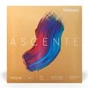 Stygos smuikui D'addario Ascente Violin 3/4 Medium A310 3/4M