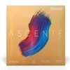 Stygos smuikui D'addario Ascente Violin 1/2 Medium A310 1/2M