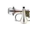 Surdina flugelhornui Stagg MFH-S3A