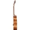 Tenorinė ukulelė Cascha Art Leafy HH 2610