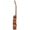 Tenorinė ukulelė Cascha Mahogany HH 2048