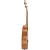 Tenorinė ukulelė Cascha Spruce Solid Top HH 2154
