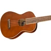 Tenorinė ukulelė Fender AVALON TENOR UKE, NAT WN