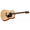 Walden Guitars Akustinė gitara Walden D450W