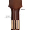Walden Guitars Akustinė gitara Walden D450W