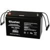Akumuliatorius żelowy 12V/100Ah BLUETEC waga 24kg, 330x222x173_8