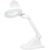 Blow Šviestuvas + didintuvas 10 W ZD121 LED