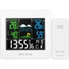 Belaidė meteorologinė stotelė BLOW WS109