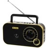 Nešiojamasis analoginis AM/FM radijas BLOW RA12 juodos ir auksinės spalvos
