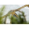 Dywan apvalus ESTEMA MARBLE 3 spalva juoda r120 Hakano