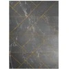 Dywan ESTEMA MARBLEGEO spalva grafito 160x220 Hakano