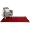 SWIRLS kilimas bordo spalvos klasikinio stiliaus 160x230 Benuta