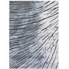 Dywan VERS TIMBER spalva mėlyna 120x170 Hakano