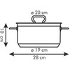 PLIENINIS PUODAS SU DANGIU PROFI TESCOMA 20cm 3l